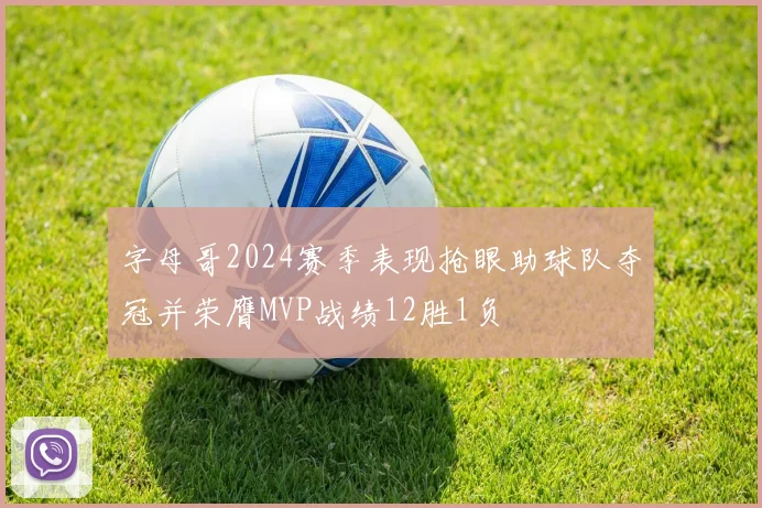 字母哥2024赛季表现抢眼助球队夺冠并荣膺MVP战绩12胜1负
