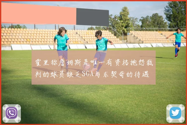霍里称詹姆斯是唯一有资格抱怨裁判的球员缺乏SGA与东契奇的待遇